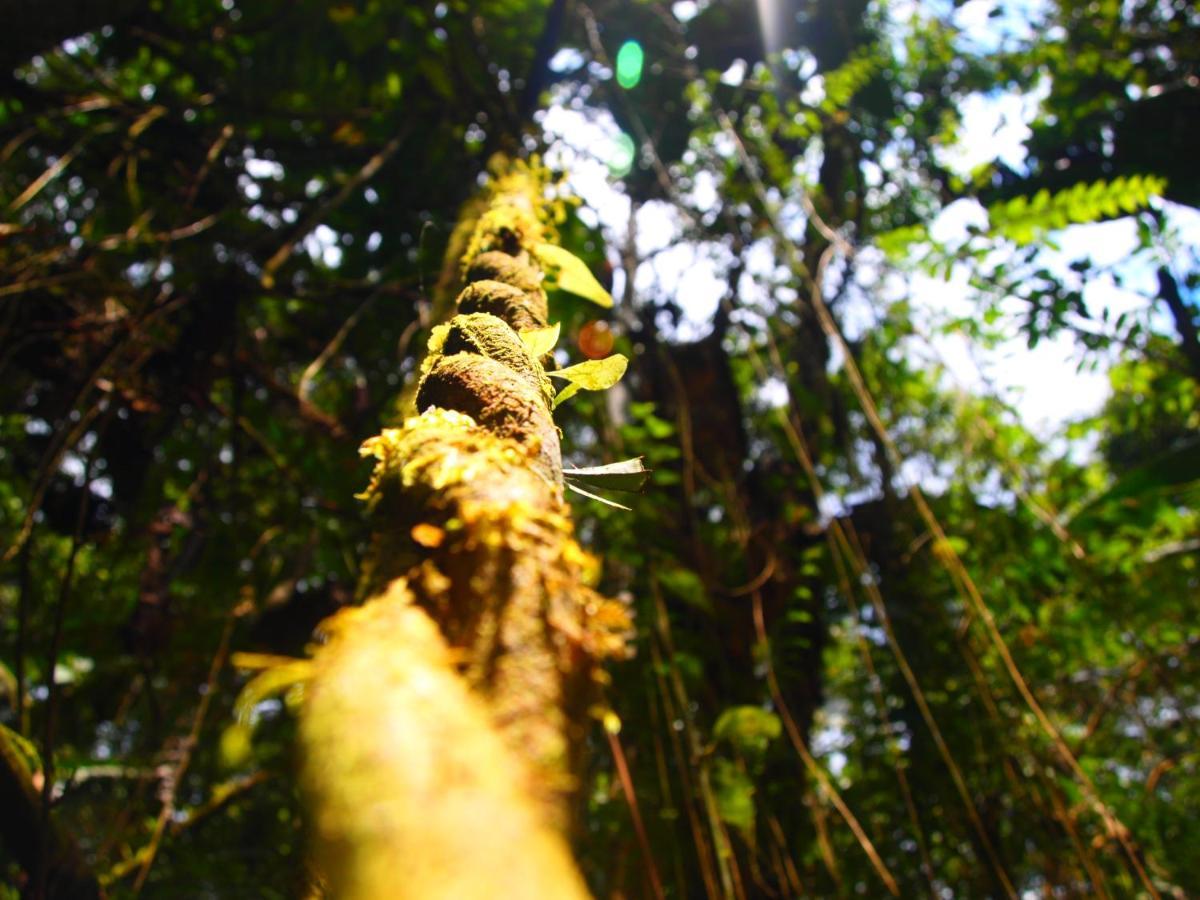 Casa En Santuario Natural En La Amazonia Villa Veracruz  Екстериор снимка