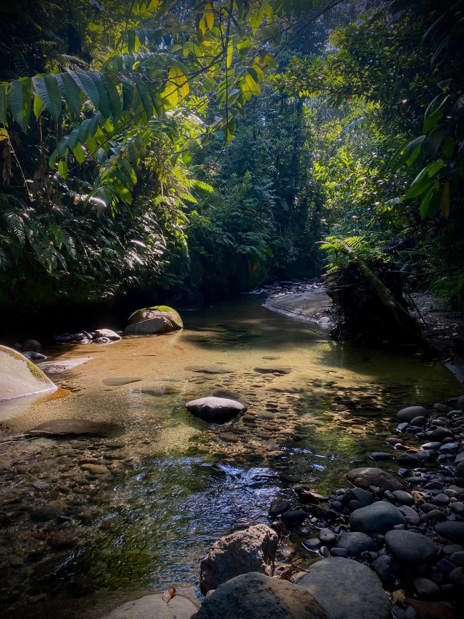 Casa En Santuario Natural En La Amazonia Villa Veracruz  Екстериор снимка