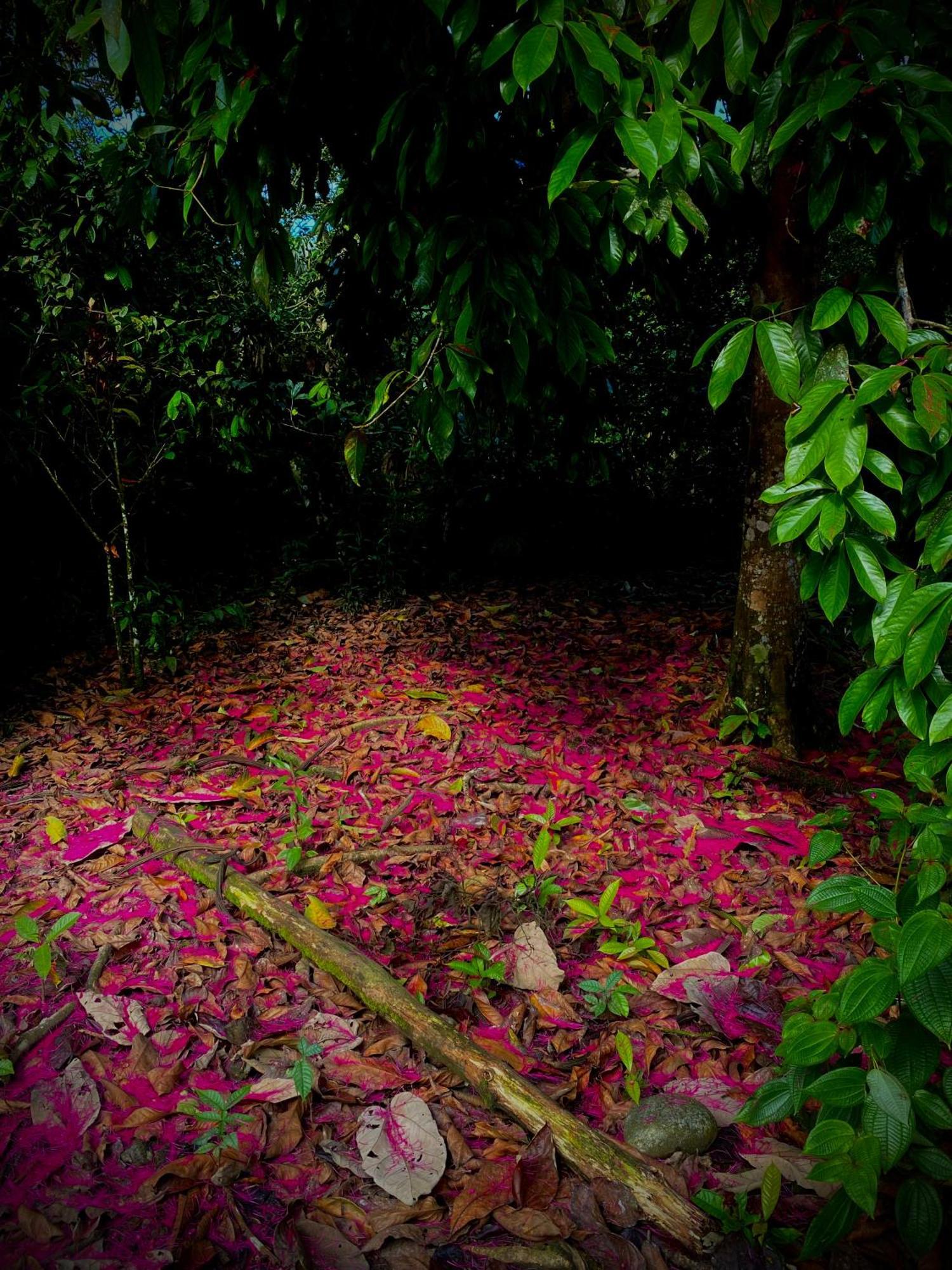 Casa En Santuario Natural En La Amazonia Villa Veracruz  Екстериор снимка